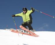 Lemmy na lyžích
