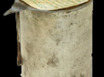 Historické balení lyžařského vosku s nápisem Helsinky 1952. Proč byl vosk vyroben k příležitosti letních olympijských her jsme zatím nevypátrali. (Foto: Rex)